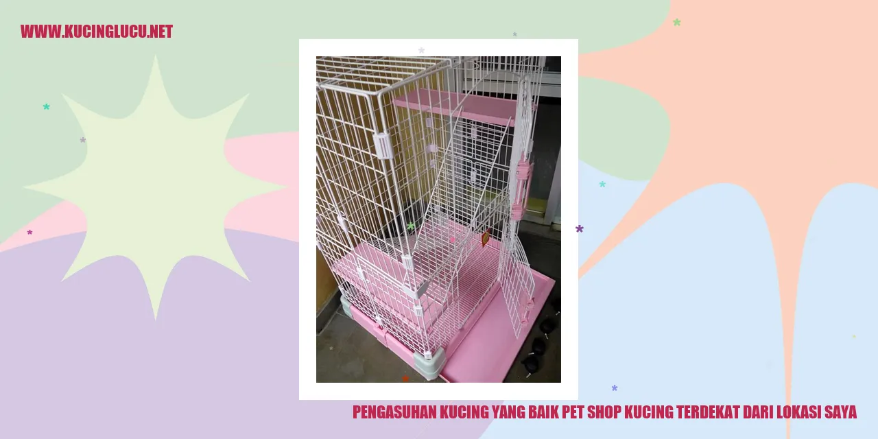 Kucing yang Sehat dan Bahagia