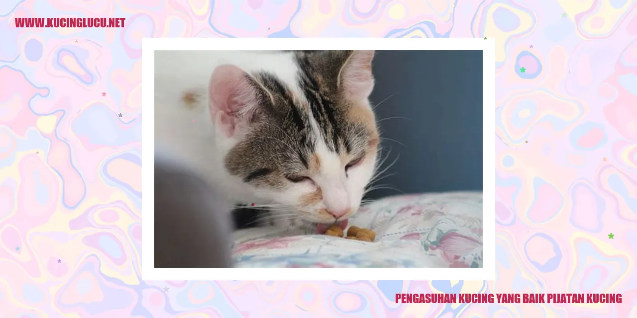 Kucing sedang menikmati pijatan