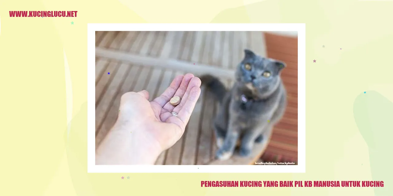 Kucing yang Bahagia