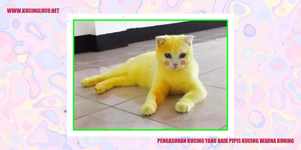 Kucing Berwarna Kuning