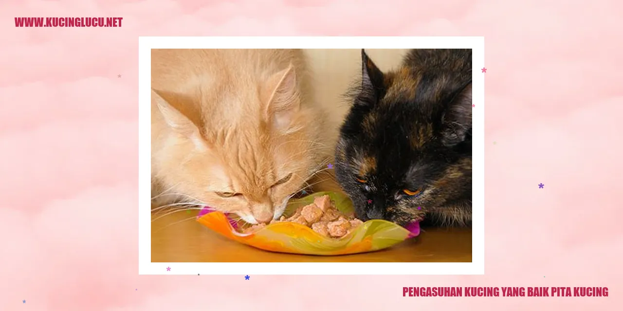 Pengasuhan Kucing yang Baik pita kucing