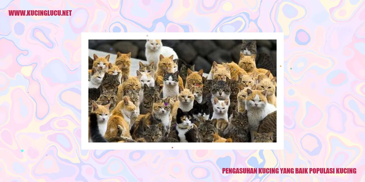Foto Kucing Lucu