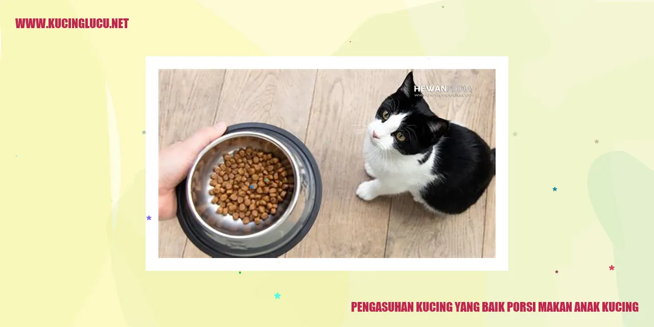 Gambar Kucing yang Menggemaskan
