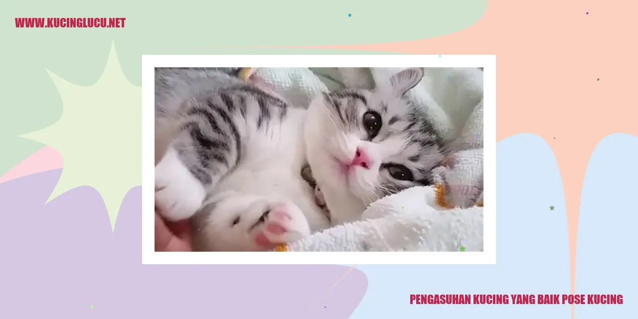 Ilustrasi Kucing Menggemaskan