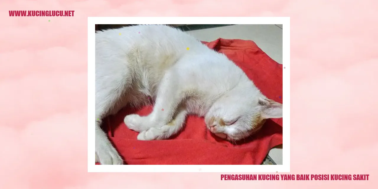 Kucing Sakit