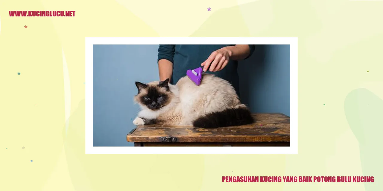 Potong Bulu Kucing