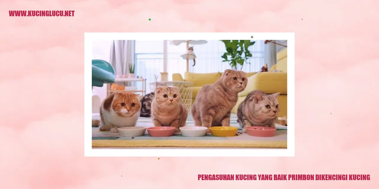 Gambar Kucing