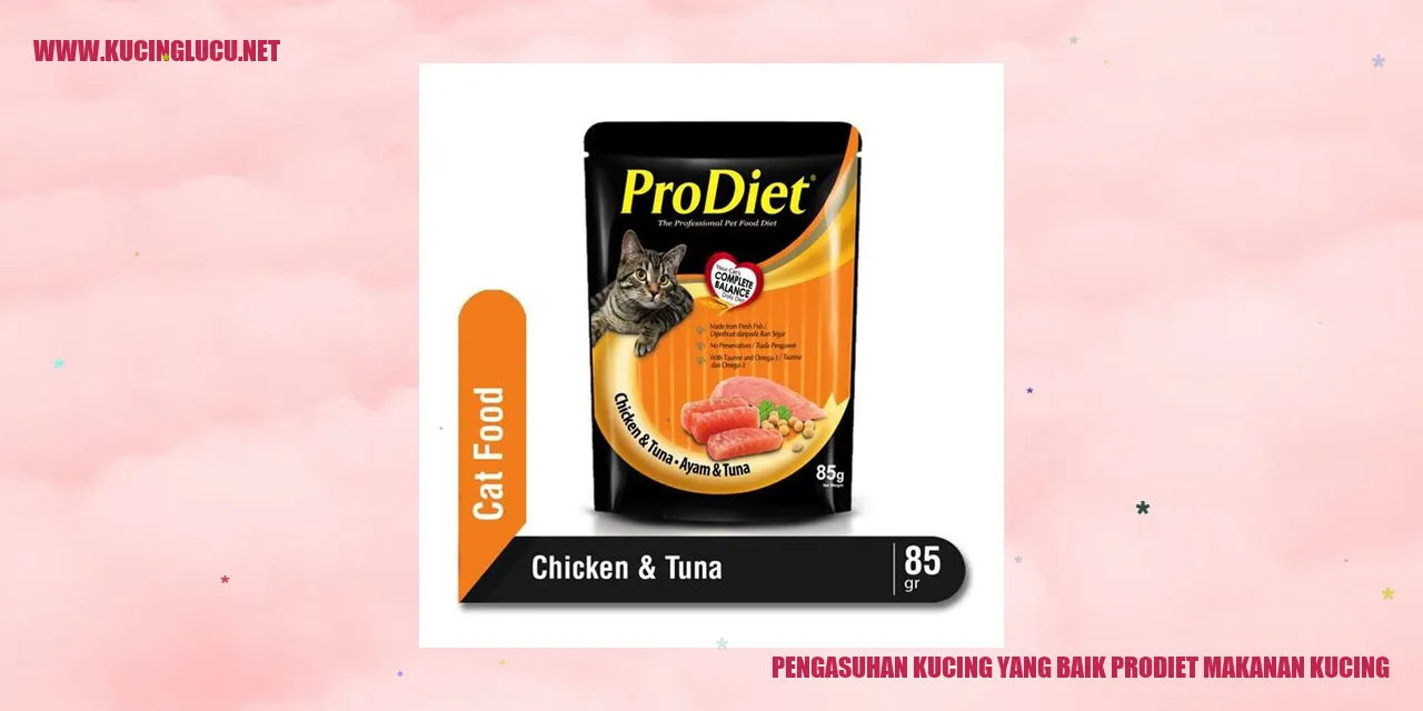 Kucing makanan