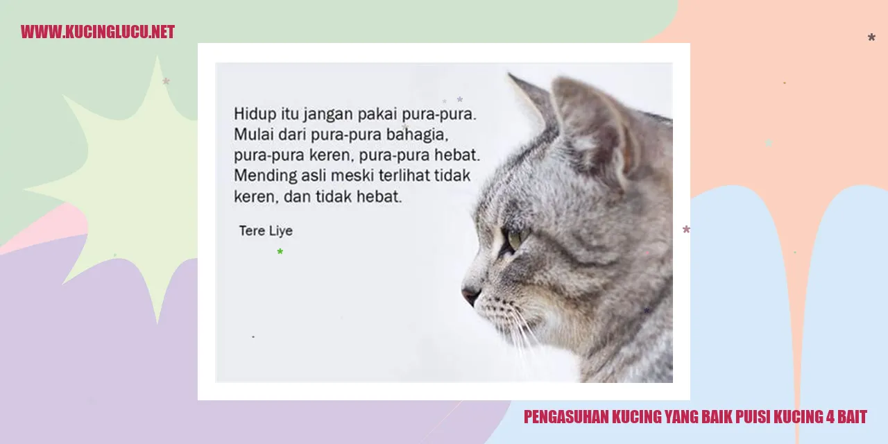 Gambar kucing lucu