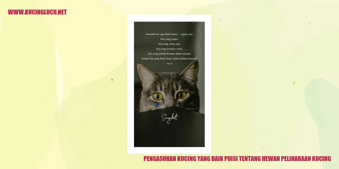 gambar kucing yang baik