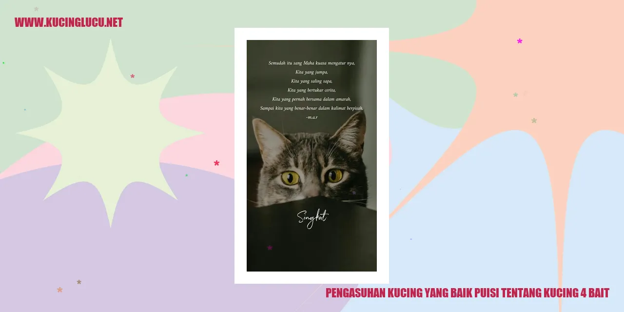 foto kucing yang menggemaskan