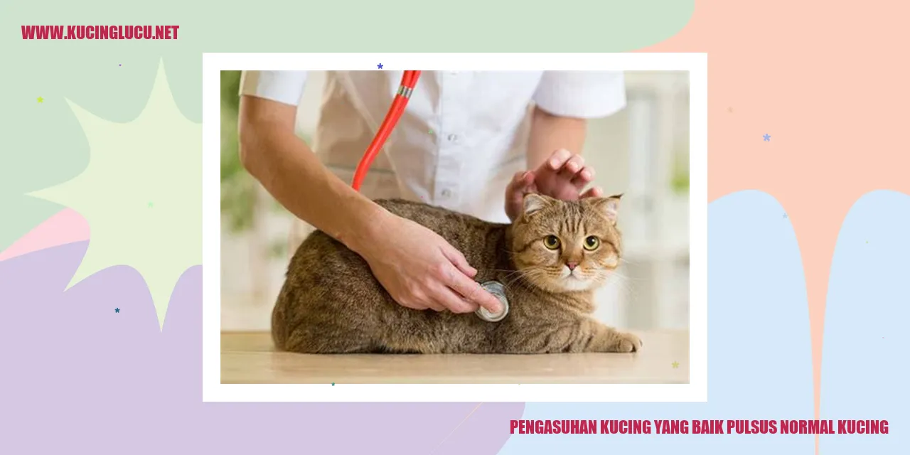 Pengasuhan Kucing yang Baik