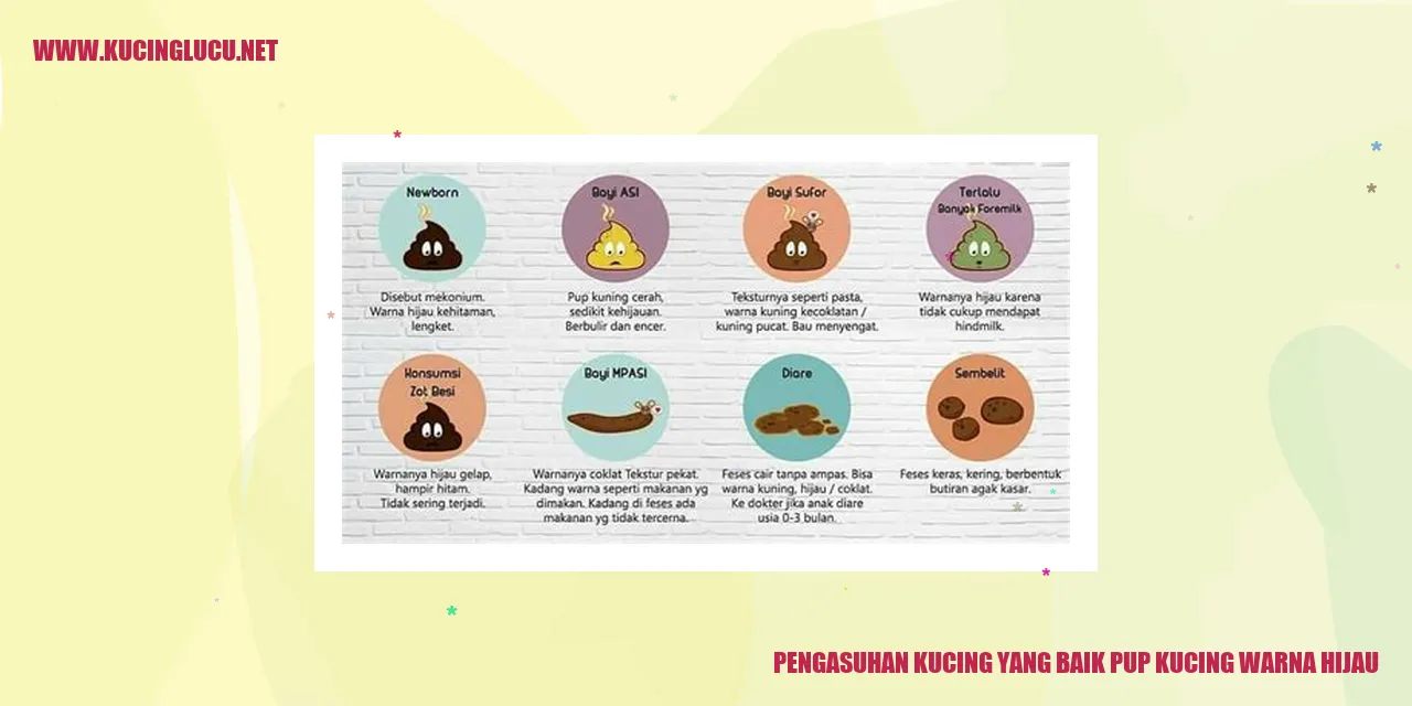 Gambar kucing lucu