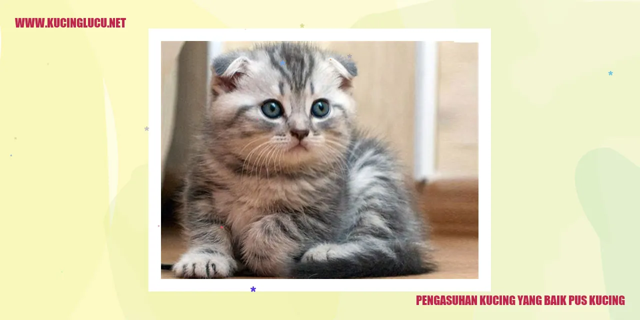 Kucing yang Sehat dan Bahagia