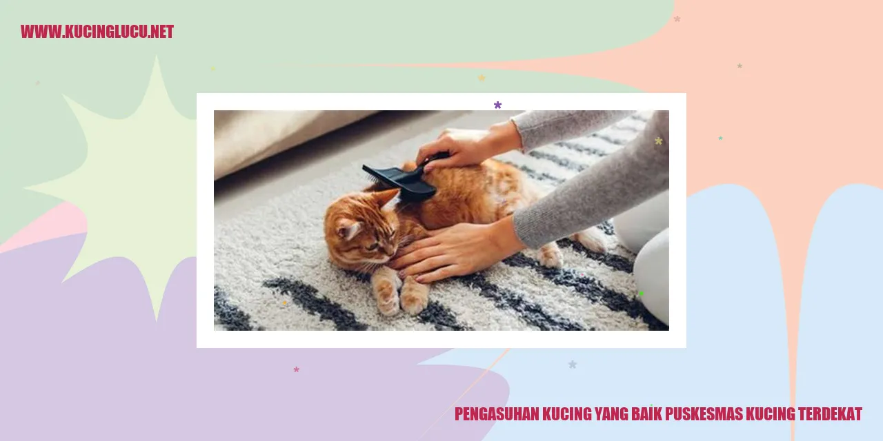 Pemeliharaan Kucing yang Baik