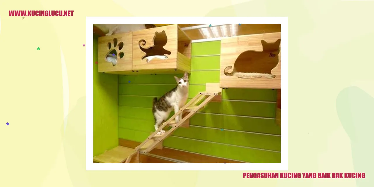 Gambar Kucing yang Lucu
