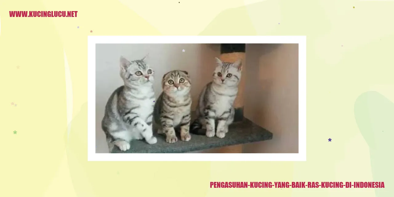 Ras Kucing di Indonesia