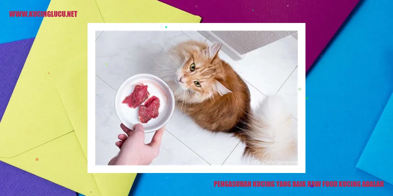 Pentingnya Pengasuhan yang Tepat Bagi Kucing: Pilihan Terbaik dalam Memberikan Makanan Mentah untuk Kucing