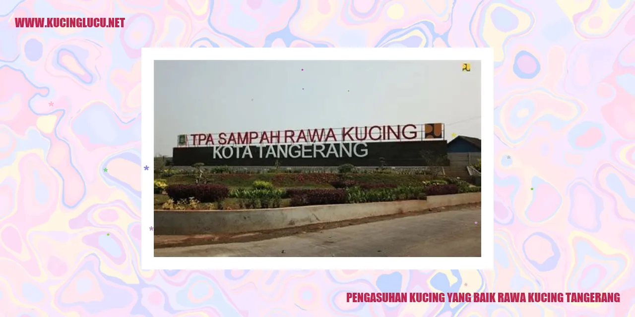 Pengasuhan Kucing yang Baik