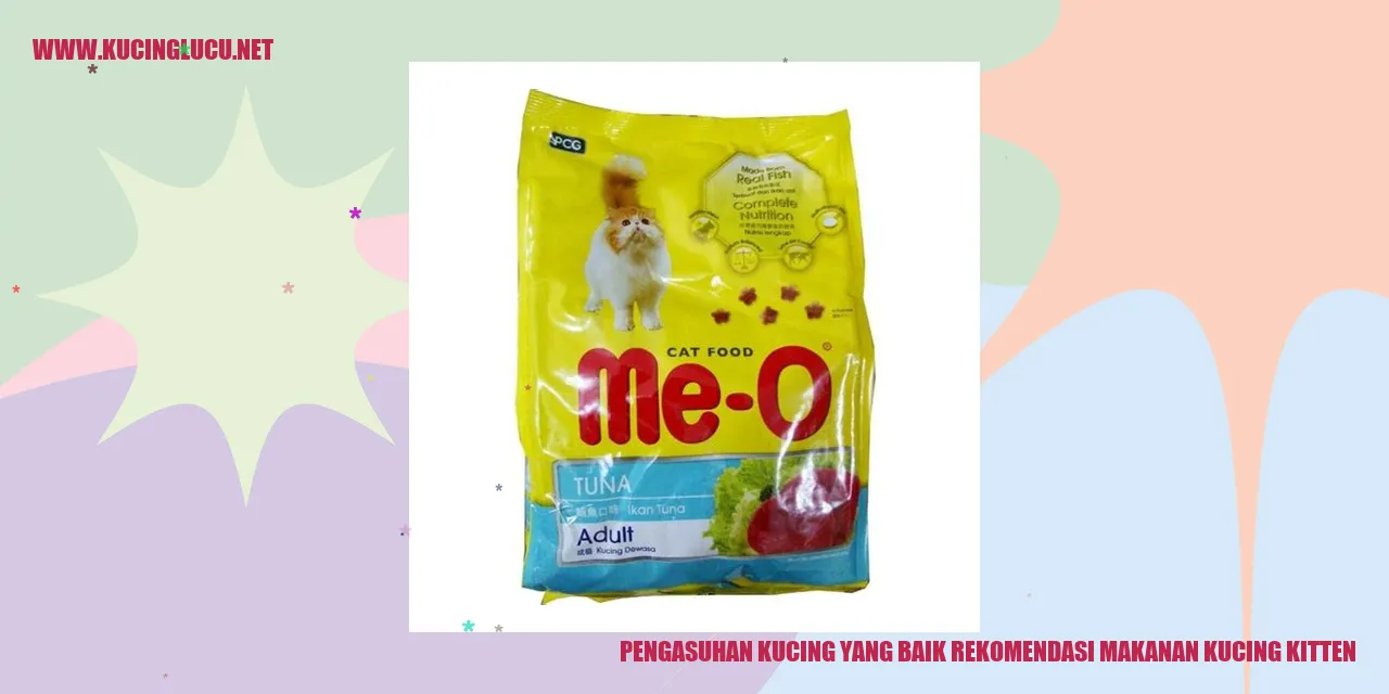 Rekomendasi Makanan Kucing Kitten