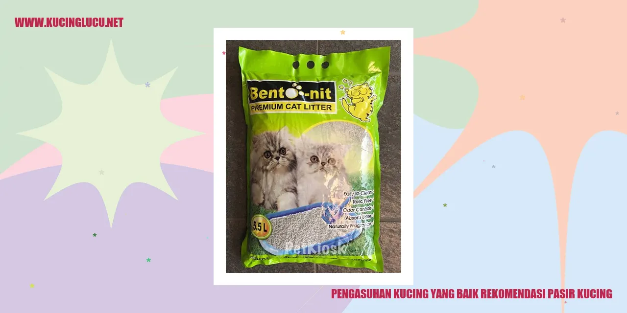 Kucing berada di dalam pasir kucing