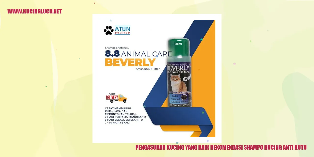 gambar kucing