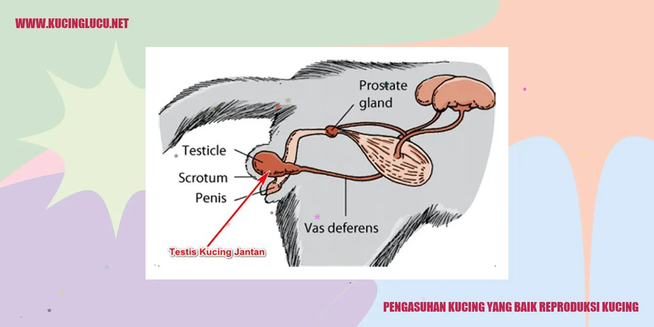 Gambar kucing dengan anaknya