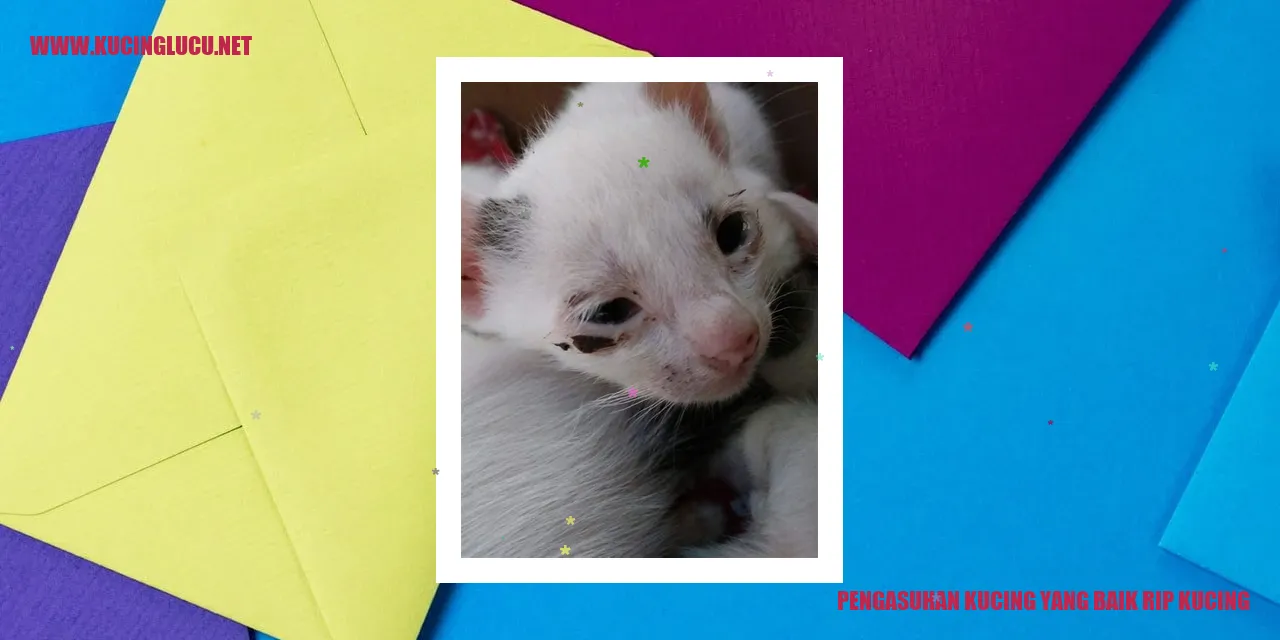 Pengasuhan kucing yang baik