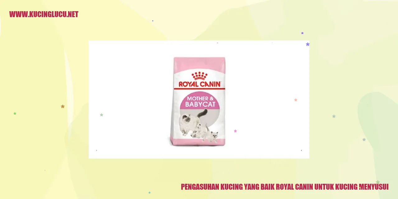 Kucing menyusui