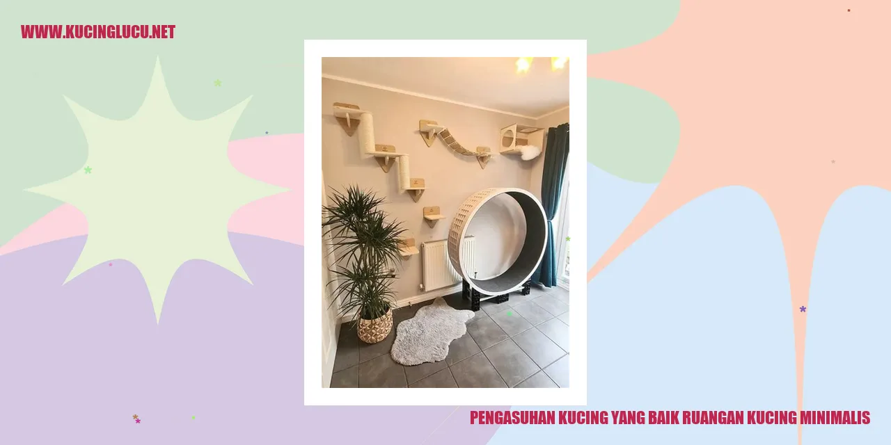 Gambar Kucing di Ruangan Minimalis