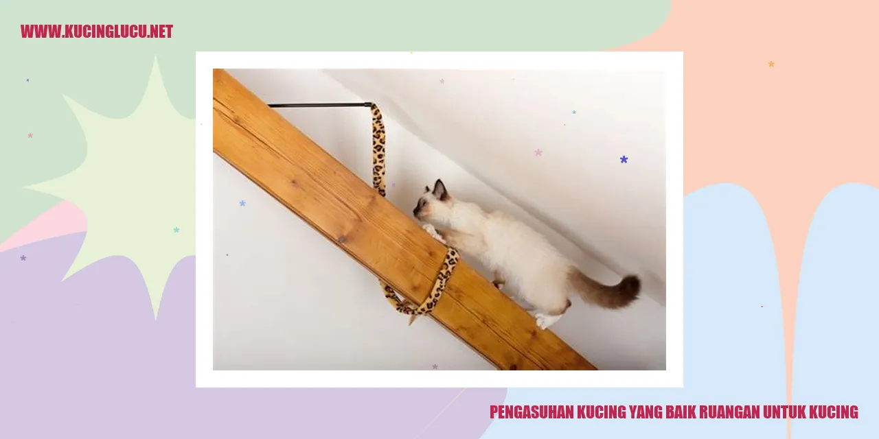 Pengasuhan Kucing yang Baik untuk Ruangan Kucing