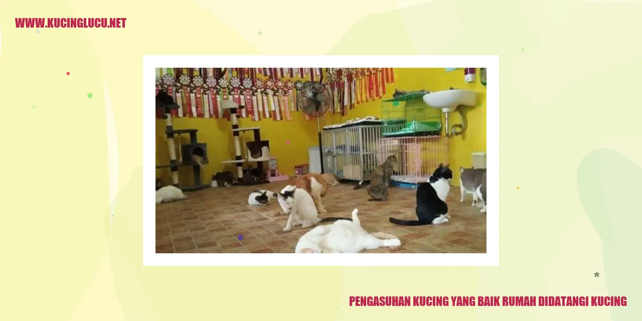 Gambar Kucing yang Menggemaskan
