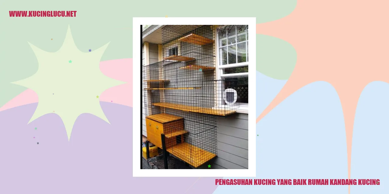 Kucing di Kandang