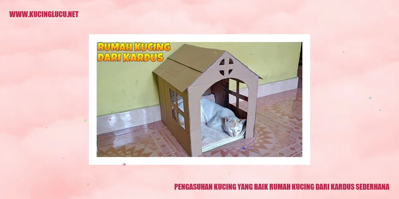 Rumah Kucing dari Kardus Sederhana