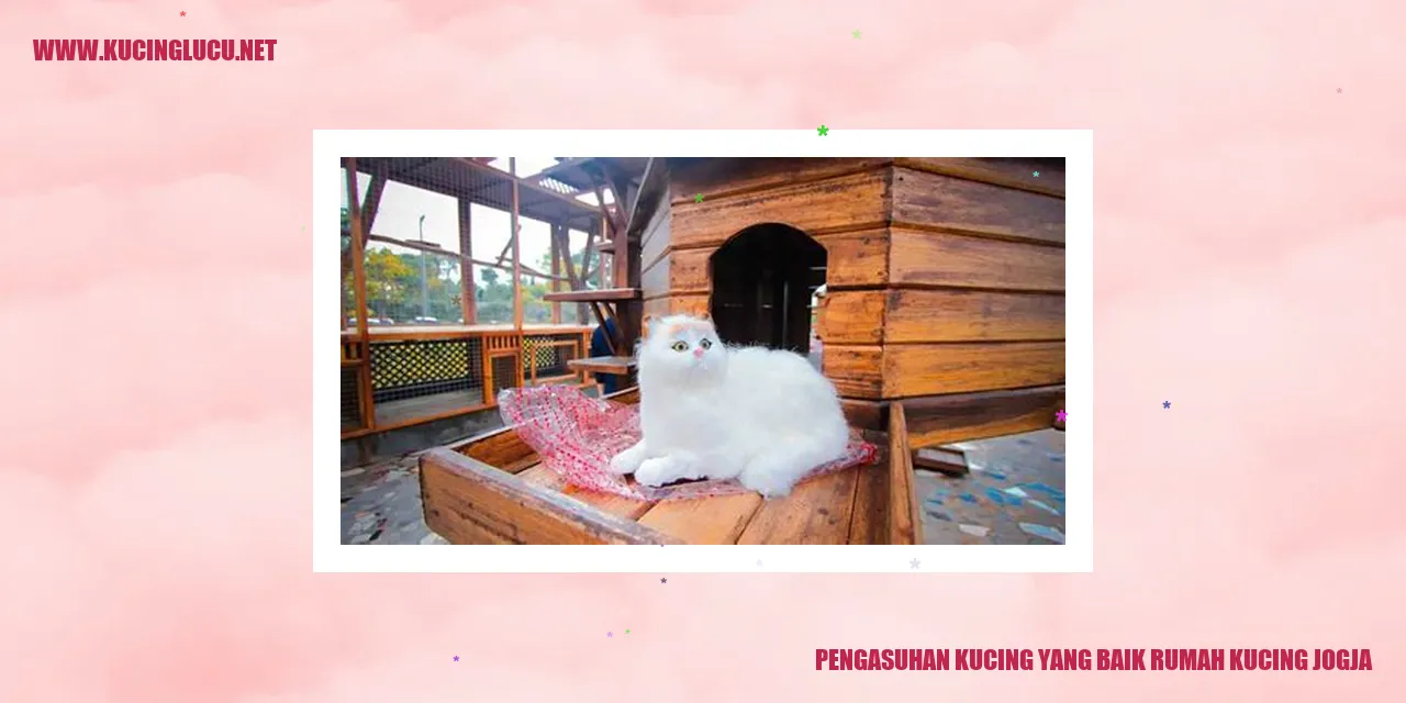 Gaya Pengasuhan Kucing yang Baik
