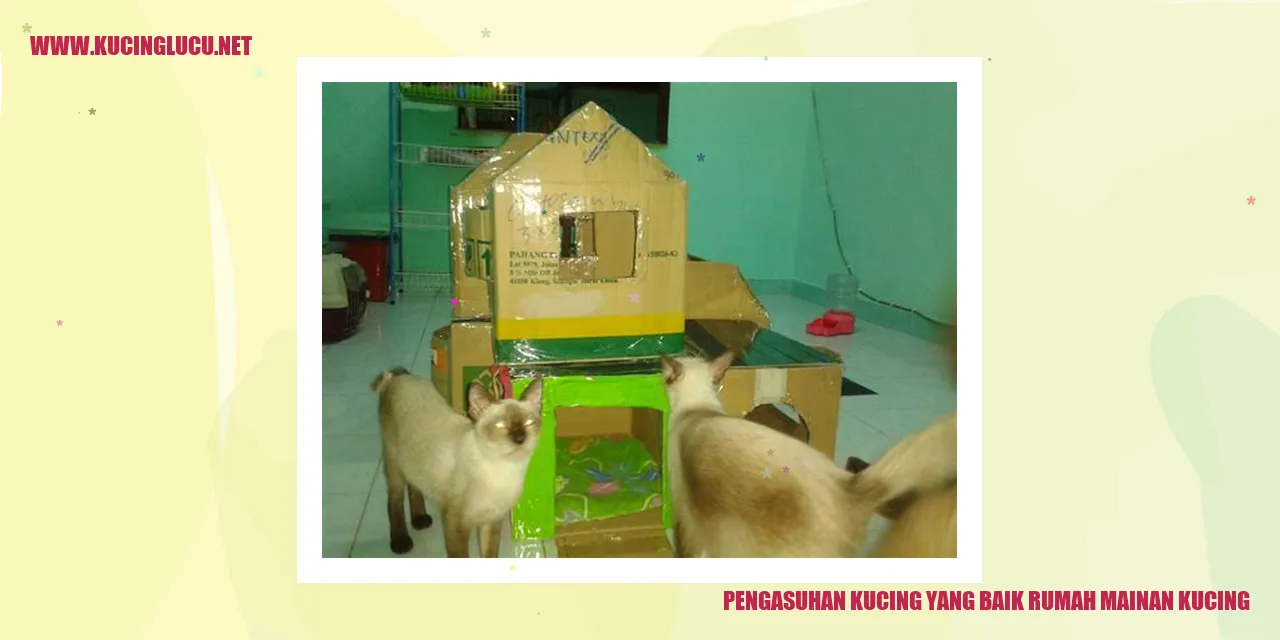 Potret kucing bermain di rumah mainan