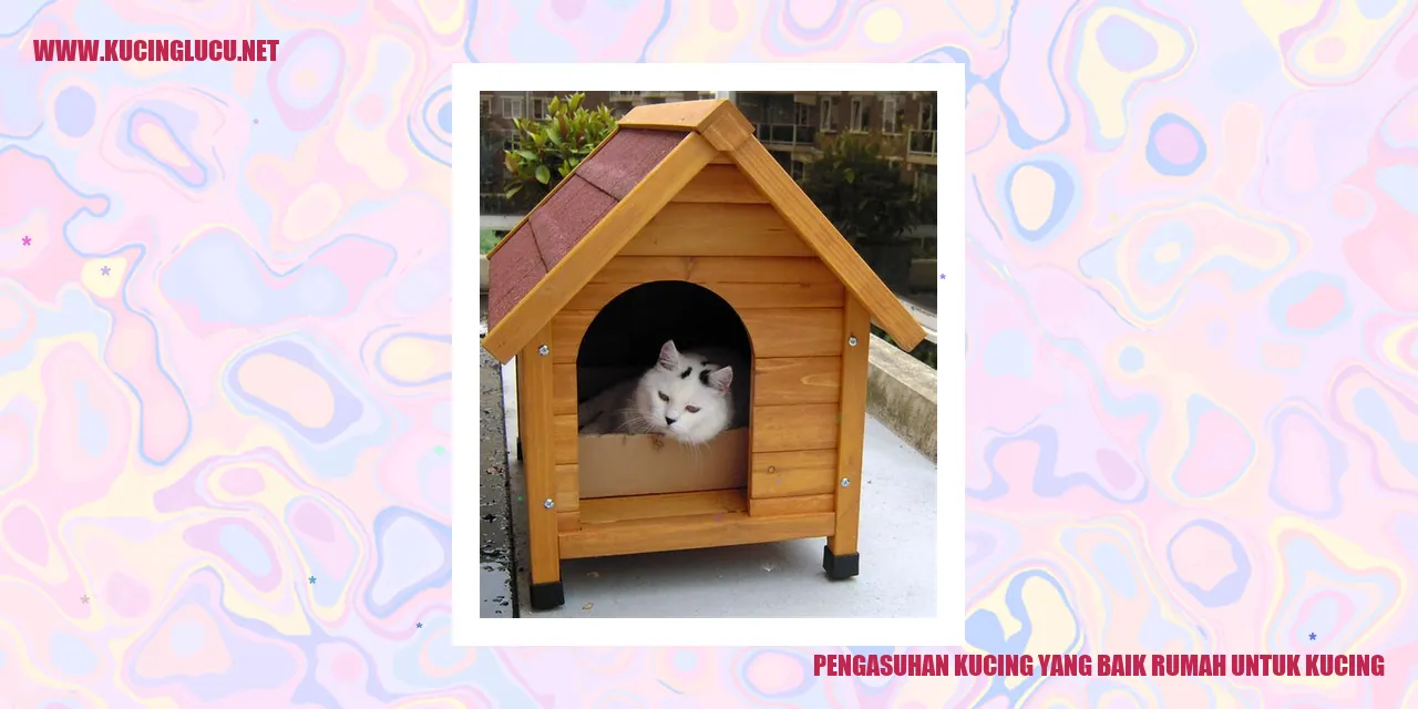 Gambar kucing