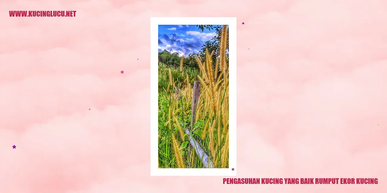Gambar Kucing Mengunyah Rumput
