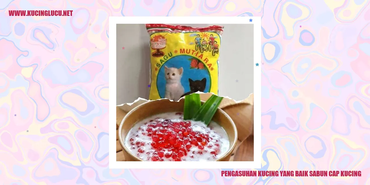 Kebersihan Kucing dengan Sabun Cap Kucing