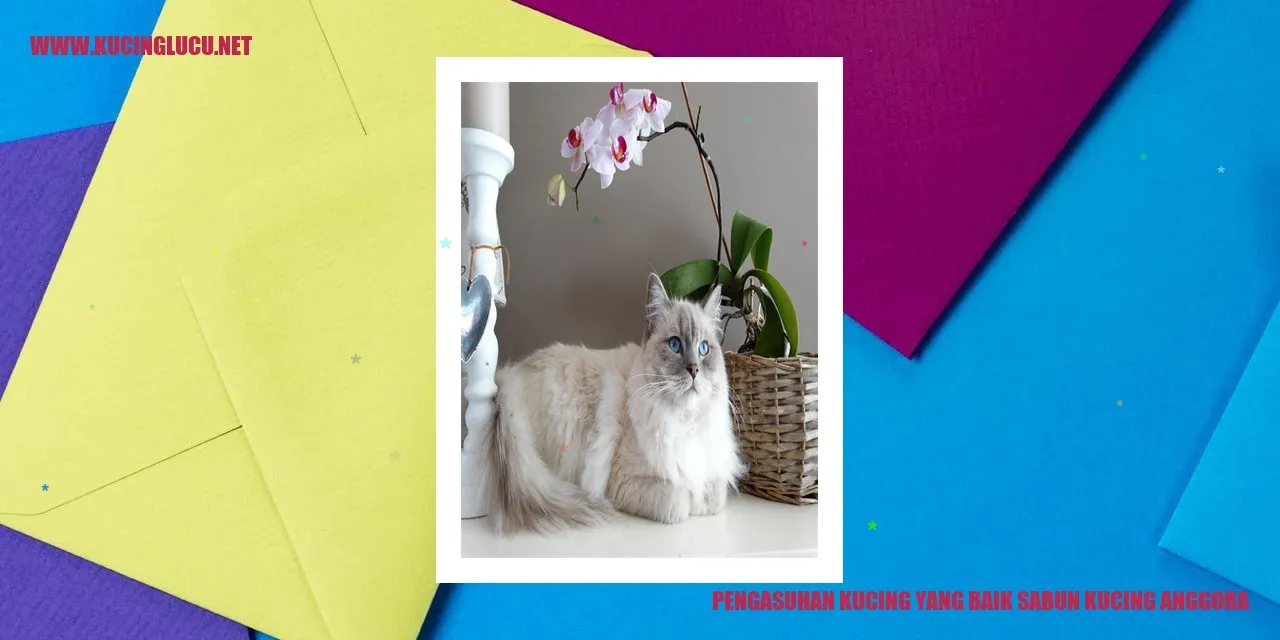 Gambar: Pengasuhan Kucing yang Baik dengan Sabun Kucing Anggora