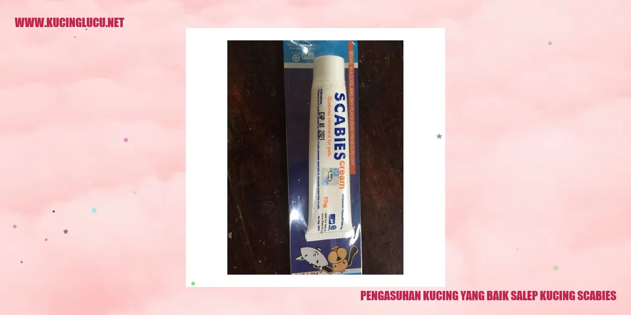 Pengasuhan Kucing yang Baik salep kucing scabies
