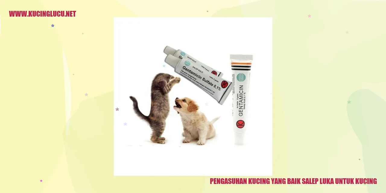 Gambar Kucing