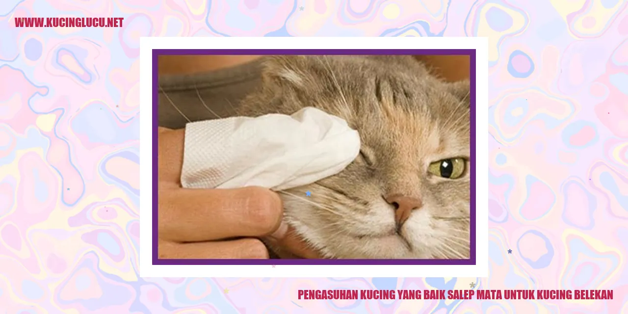 Kucing belekan