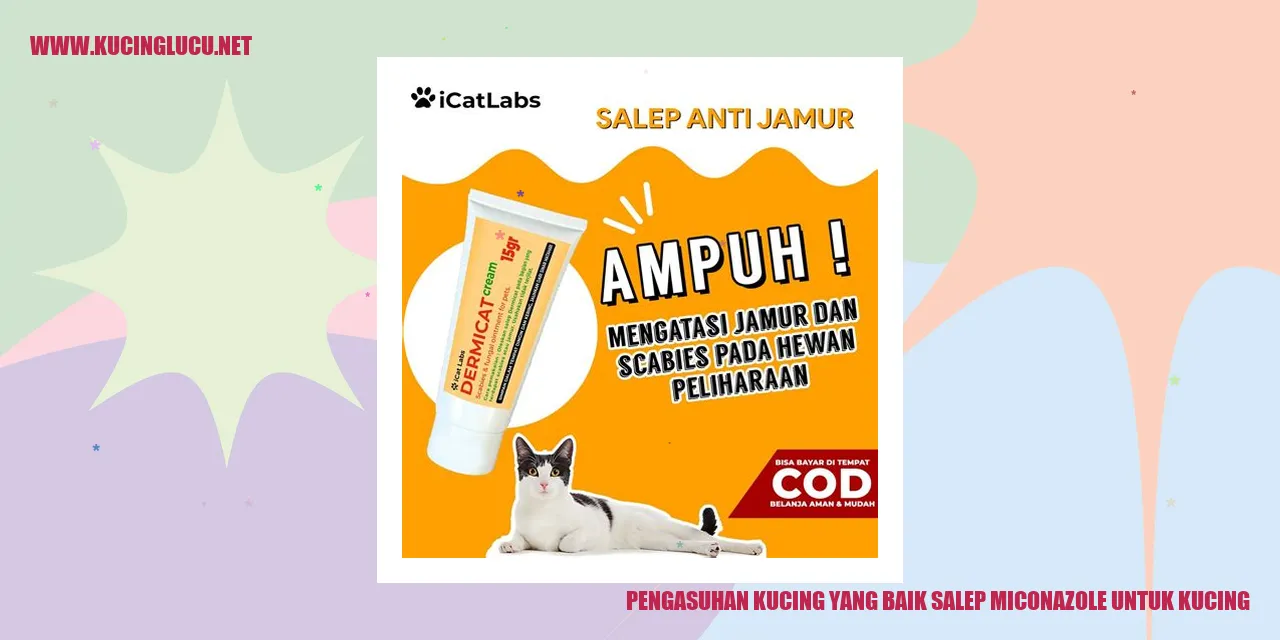 Gambar Kucing