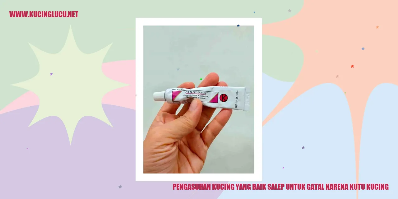 Pengasuhan Kucing yang Baik - Salep untuk Gatal Akibat Kutu Kucing