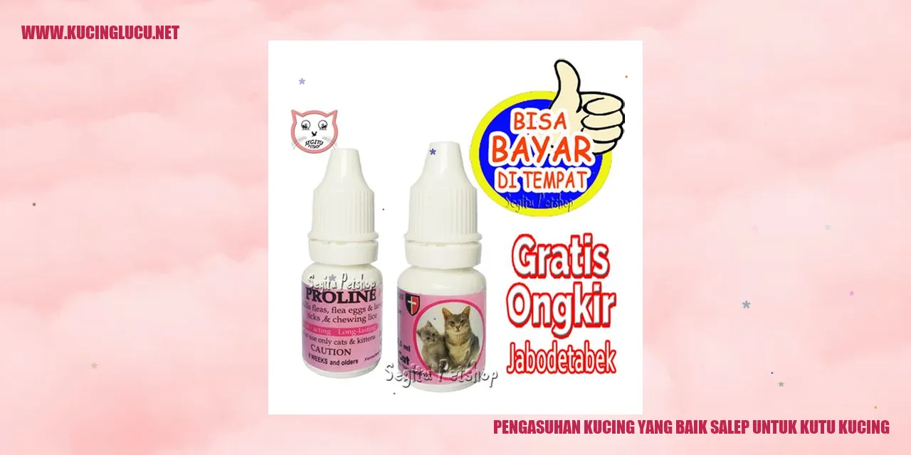Gambar kucing sehat dengan penggunaan salep kutu yang tepat
