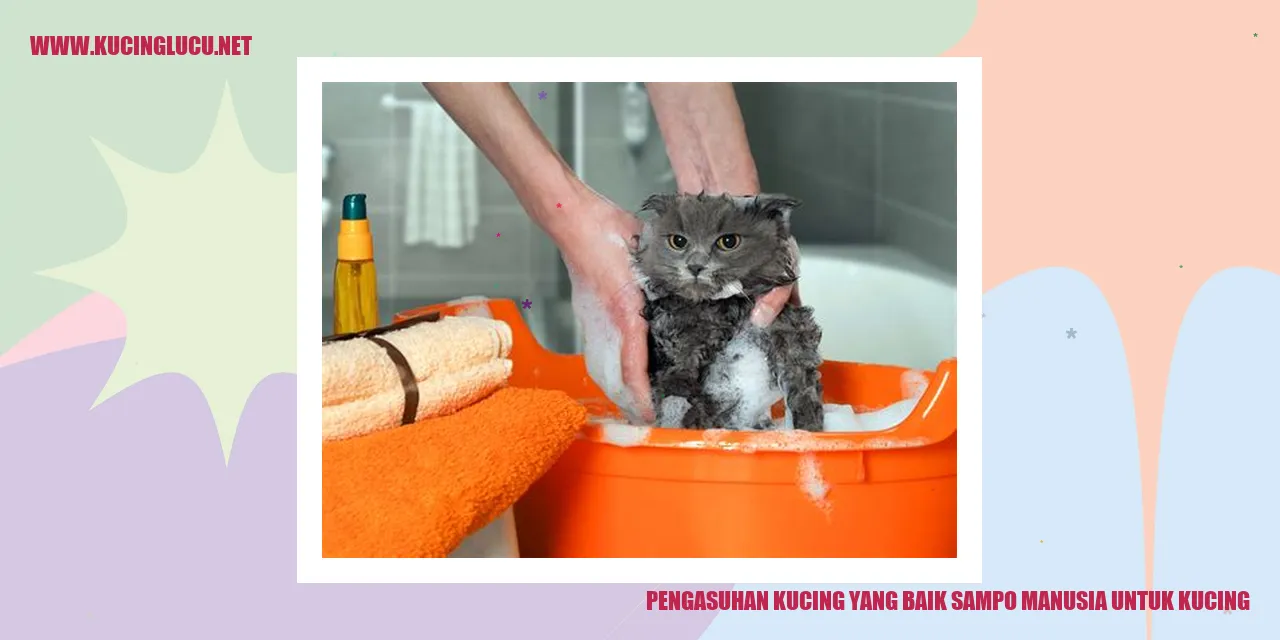 Kucing yang sedang dimandikan