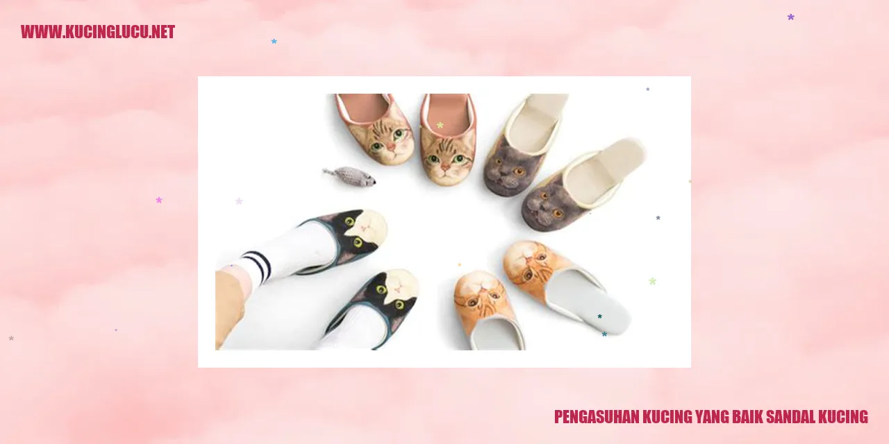 Kucing lucu