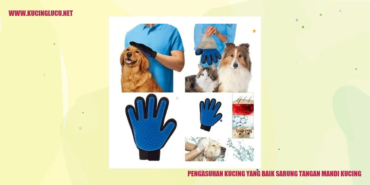 kucing mandi