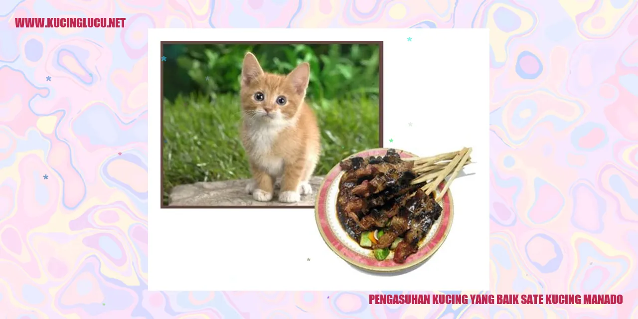 Kucing yang menggemaskan